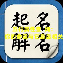 五行属性查  询：你的命运与它息息相关